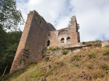 Percorso Marcia Oberbronn - Château de la Wasenbourg depuis Oberbronn - Photo