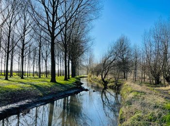 Randonnée Marche Crisnée - Le long de la rivière Geer à Lauw - Photo