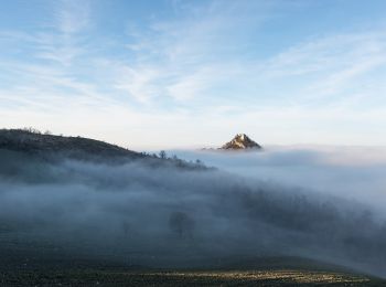 Tour Zu Fuß Canossa - Cavandola - Votigno - Bergogno - Cavandola - Photo