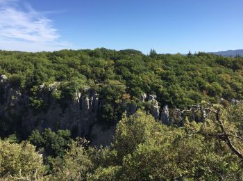 Excursión Senderismo Les Vans - 2019 - ES - Païolive et Gorges du Chassezac - 11,7km - Longue V2 - Photo