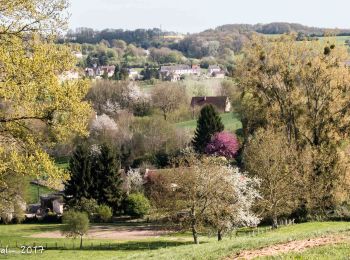 Tocht Stappen Bretoncelles - SityTrail - Les ponts de la Corbionne Bretoncelles 7,7 Km - Photo