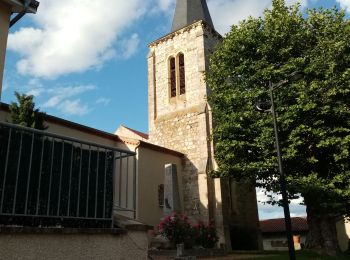 Excursión Senderismo Mizérieux - Mizerieux, les grands Chambons - Photo