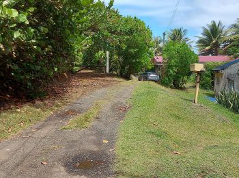 Trail Walking Le Lorrain - Boucle La Crabiere - Hbt Assier - Photo
