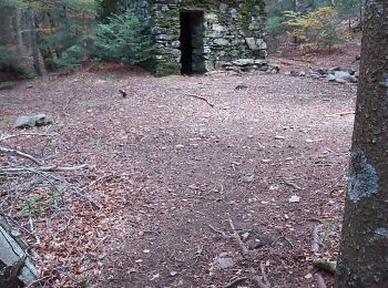 Tour Wandern Arphy - Cap de Côte - Photo