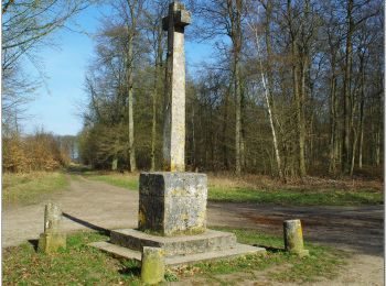 Trail Walking Pont-Sainte-Maxence - balade printanière  halatte nord ouest - Photo