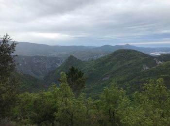 Randonnée Marche Revest-les-Roches - Vial - Photo