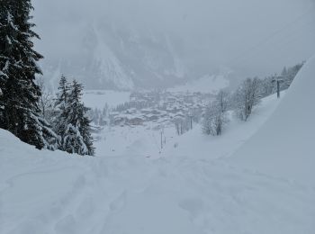 Percorso Racchette da neve Pralognan-la-Vanoise - Pralognan Les Fontanettes - Photo