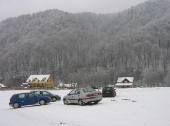 Tocht Te voet Sovata - Săcădat - Valea Gurghiului - Photo