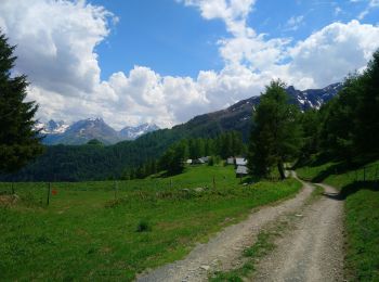 Percorso Marcia Montricher-Albanne - la plagne - Photo