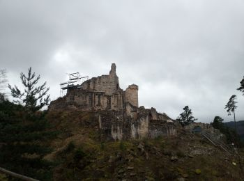 Excursión Senderismo Ottrott - 2023-02-18 Vorbruck - Mt st Odile - Photo