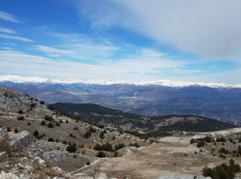 Randonnée Marche Gréolières - Cime et crêtes du Cheiron (1778m)  - Photo