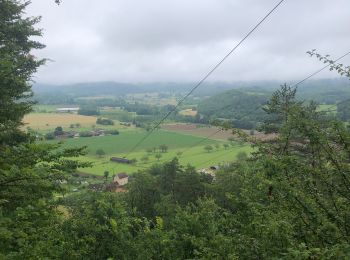 Excursión Senderismo Montignac-Lascaux - Montignac-peyzac - Photo