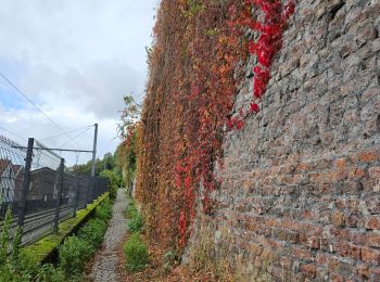 Tocht Stappen Luik - ADEPS - THIER A LIEGE  - Photo