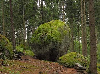 Percorso A piedi Gemeinde Groß Gerungs - Weltkugel - Wanderweg 31 - Photo