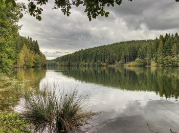 Randonnée A pied Wermelskirchen - Talsperrenweg - Photo