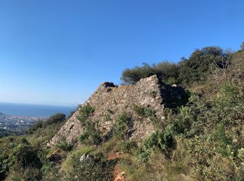 Tocht Stappen Falicon - Pyramide de Nice Falicon - Photo