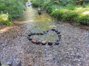 Trail Walking Plaine - Plaine La Chatte Pendue - Photo