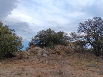 Excursión Otra actividad Montalba-le-Château - la petite cambuse de montalba - Photo