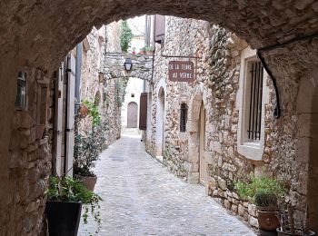 Tour Wandern Saint-Martin-d'Ardèche - Aigueze rocher de Castelviel - Photo