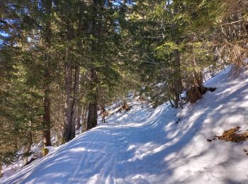 Tour Skiwanderen Bellevaux - Col des follys - Photo