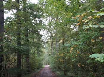 Percorso Marcia Bierbeek - 20191012 ras le bol - Photo