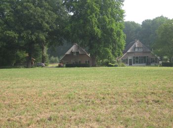 Tour Zu Fuß Bronckhorst - Linderoute - Photo