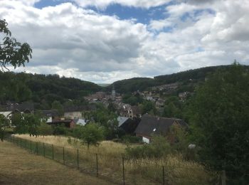 Tour Wandern Floreffe - Franiere-Fort de Malonne-corona2020-18Km - Photo