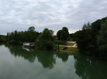 Randonnée Marche Lagny-sur-Marne - Jardin des sculptures - Bords de marne depuis Lagny  - Photo