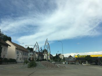 Tour Zu Fuß Lostorf - Rankwog - Lostorf - Photo