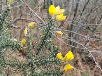 Tour Wandern Baron-sur-Odon - Baron-sur-Odon_4,9_km - Photo