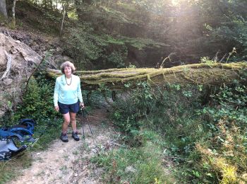 Tour Wandern Uzerche - Étape 1 août 2024 - Photo