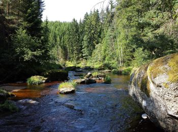 Excursión A pie Gemeinde Großgöttfritz - Riesensteig - Photo