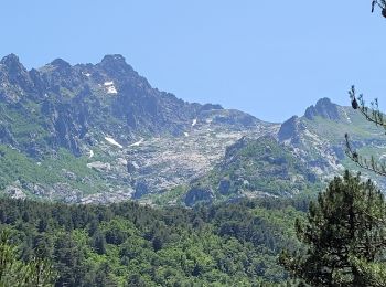 Randonnée Marche Vivario - cascade  de manganello et de meli - Photo