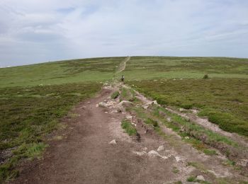 Tour Wandern Mont Lozère et Goulet - 210617 - Mont Lozère  - Photo