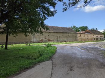 Percorso A piedi Hluboká nad Vltavou - [Ž] Munice - Pod Janečkem - Photo