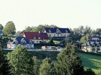 Randonnée A pied Polańczyk - Perła polańczyka - Photo