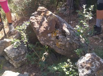 Randonnée Marche La Celle - La Celle les Hautes Bastides - Photo