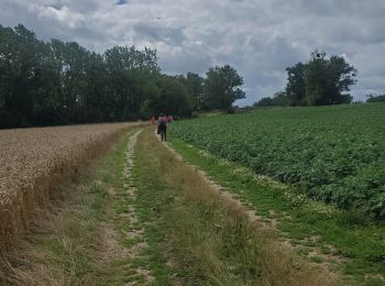 Tocht Noords wandelen Voeren - fourons-le-comte - Photo