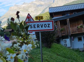 Tocht Stappen Les Houches - J21 - R20 - La Fontaine - La Tour St Michel - Photo