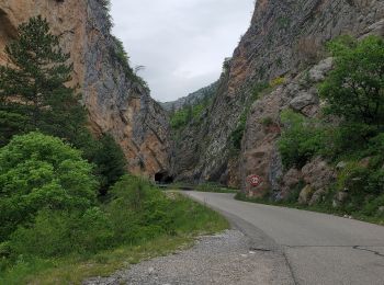 Randonnée Marche La Javie - vélodrome esclangon 17kms 1049m - Photo