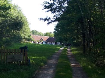 Tour Wandern Mur-de-Sologne - Mur de sologne 2020 - Photo