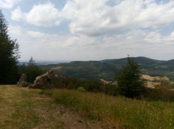 Tocht Stappen Saint-Léger-sous-Beuvray - Bibracte autour du Montt Breuvay - Photo