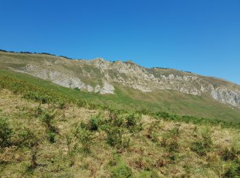 Trail Walking Arcizans-Dessus - cretes du soum de la pène - Photo