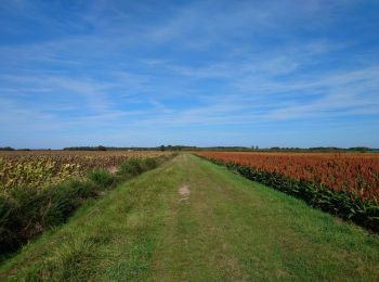 Randonnée Marche Sorigny - Sorigny - GR655 la Couarde - 18.4km 60m 4h05 - 2023 09 24 - Photo