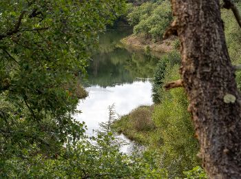 Trail Walking Saint-Paul-en-Forêt - meaulx gilles - Photo