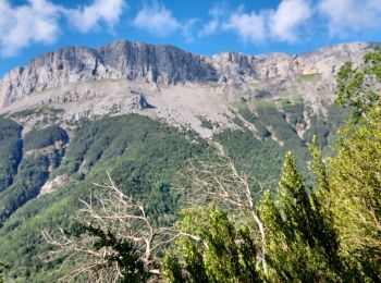 Trail Walking Tella-Sin - miradores de Revilla - Photo