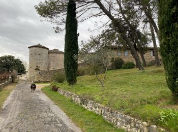 Tocht Stappen Rousson - Le plateau de Rousson - Photo