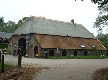 Trail On foot Putten - Huinerpad - Photo