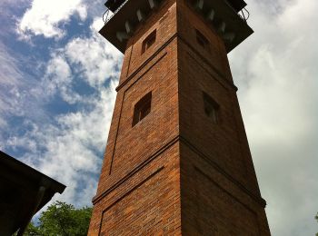 Excursión A pie Regenstauf - Wanderfreunde Regenstauf: Eichhornweg - Photo