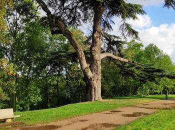 Trail Walking Falaise - Falaise - Photo